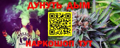 прущие грибы Краснодар