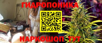 меф Краснознаменск