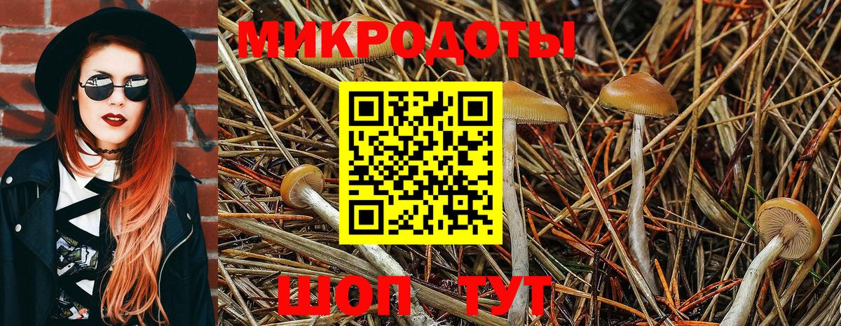 Галлюциногенные грибы GOLDEN TEACHER Чапаевск