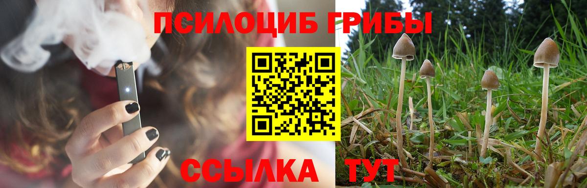Псилоцибиновые грибы MAGIC MUSHROOMS  Галлюциногенные грибы Cubensis  Вход с VPN  Чапаевск 